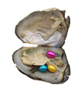 Rice Pearl Oyster