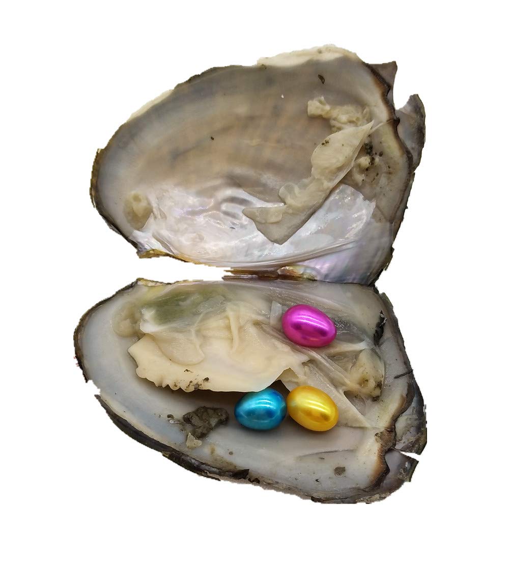 Rice Pearl Oyster