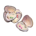 Twin Pearl Oyster