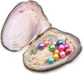 Round Pearl Oyster